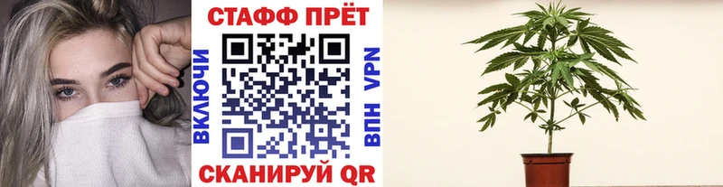 Виды наркоты Дмитровск A-PVP  Марихуана  КОКАИН  Меф мяу мяу  ГАШИШ 