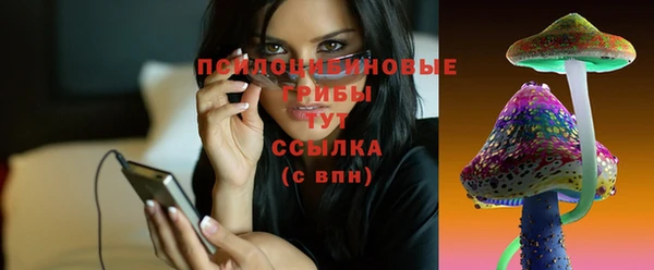 эйфоретик Гусиноозёрск