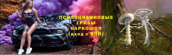эйфоретик Гусиноозёрск