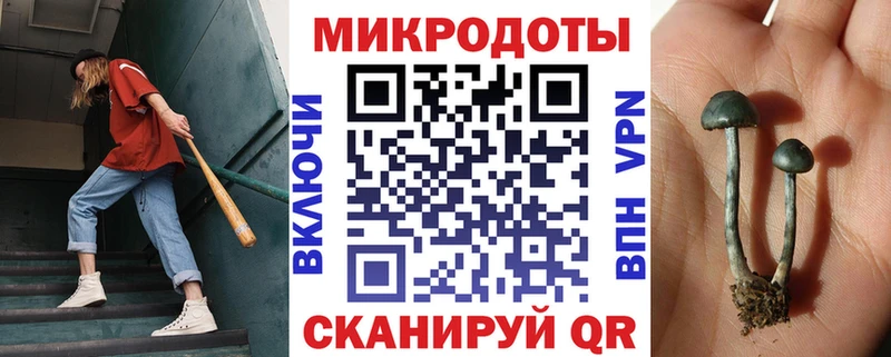 Галлюциногенные грибы ЛСД  Дмитровск 