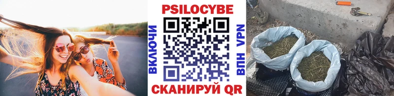 Псилоцибиновые грибы Psilocybe Дмитровск