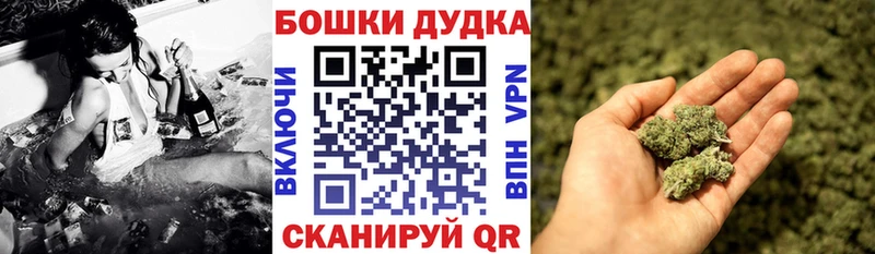 купить сайты Дмитровск маркетплейс клад Шишки марихуана индика